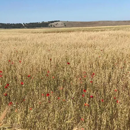 Tiche Matera